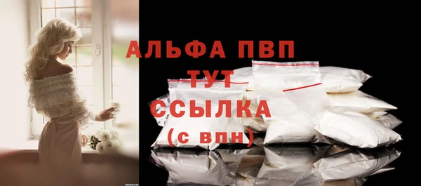 сатива Приозерск