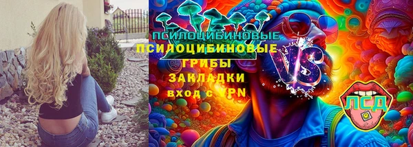 сатива Приозерск