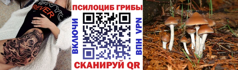 Галлюциногенные грибы прущие грибы  Сергач 